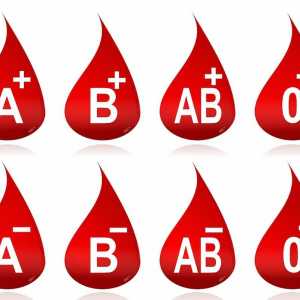 Резус фактор на кръвта: определение, характеристики и препис
