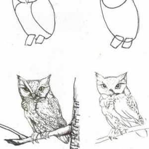 Растете животните постепенно с молив. Как да се научим как да рисуваме животните на етапи?
