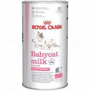 "Royal Kanin" - заместител на котленото мляко