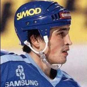 Руският хокеен играч Petrenko Сергей: спортна кариера и треньорски дейности
