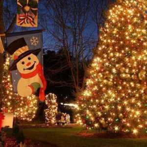 Коледа в САЩ: черти, традиции, култура