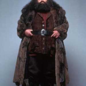 Rubeus Hagrid: актьор и неговата роля