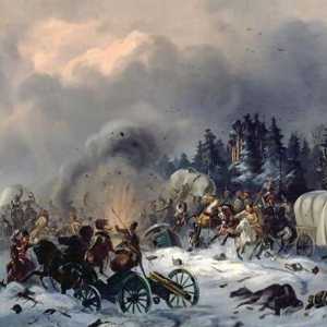 Руско-френската война (1812-1814 г.)