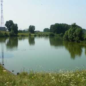 Риболов в района на Кировоград: платени и безплатни езера