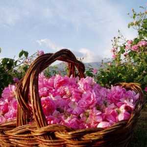 Най-красивата в света Долината на розите. България и нейните атракции