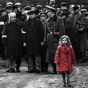 Най-добрите документални и игрални филми за Холокоста: списък, отзиви и рецензии