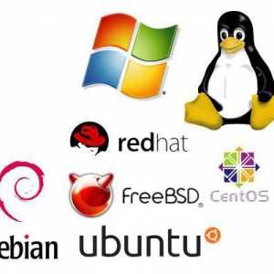 Най-популярните сървърни операционни системи
