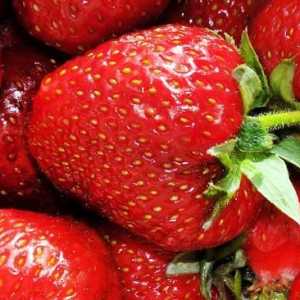 Най-честите заболявания на ягодите и тяхното лечение