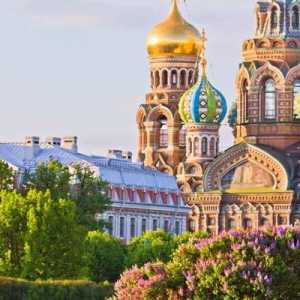 Санкт Петербург: галерии, които заслужават посещение. Снимки и ревюта на туристи