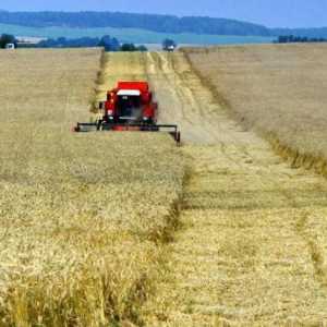 Земеделието на Беларус: характеристики на развитието