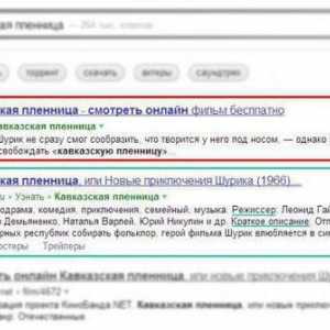 Семантична микродетекция на "Yandex": как да направите и проверите