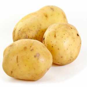 Семейството на Solanaceae. Плодът на нощни растения от картофи и домат се нарича?