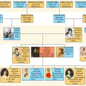 Семейство Пушкин: от предци до потомци