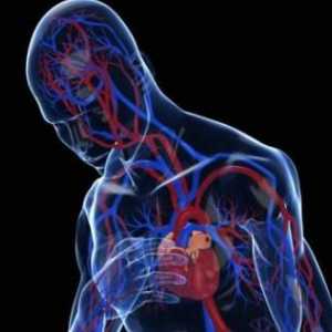 Кардио-пулмонална недостатъчност: симптоми и лечение