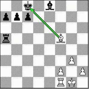 Проверка и шахматна шах. Какво е шахматът и как да поставите чек или шах?