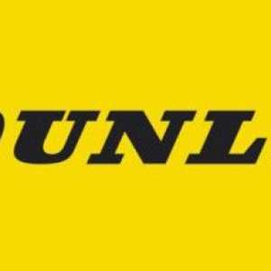 Гуми Dunlop Eco EC201: рецензии, описания, характеристики