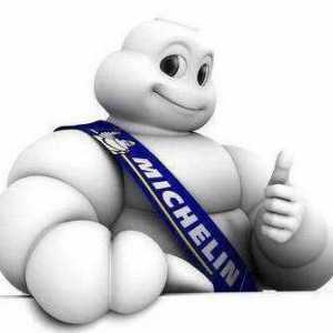 Гуми Michelin X-Ice 3: ревюта, цени. Отзиви за гумата "Michelin X-Ice Nord 3"