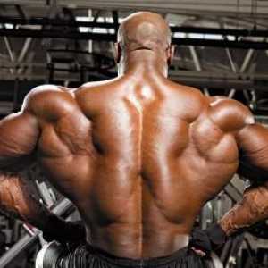 Широки гръбначни мускули, атлетична перспектива