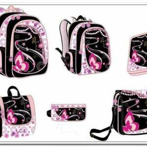 Училищни чанти за момичета: общ преглед, видове, спецификации и отзиви
