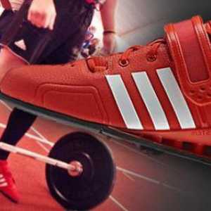 Adidas barstools: снимка, описание, предимства, прегледи