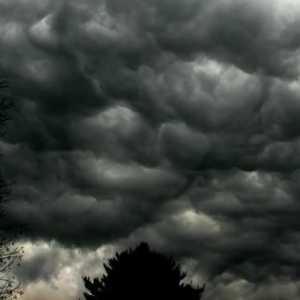 Предупреждение за буря: условия и характеристики