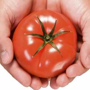 Сибирска селекция от домати - черти и достойнство. Най-добрите сортове домати от сибирска селекция