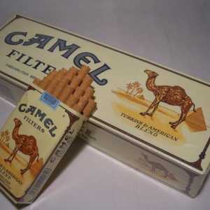 Цигари "Camel": марка със стогодишна история