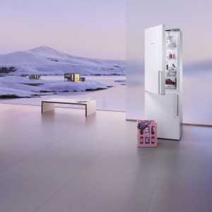 `Siemens `, хладилници: прегледи на най-добрите модели