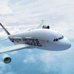"Сингапурски авиолинии": Официален сайт и ревюта на авиокомпании