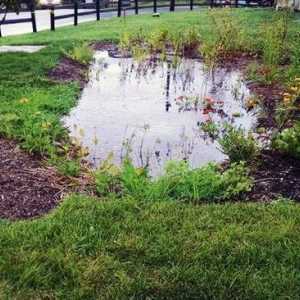 Канализационна система за дъждовна вода: Описание и условия за ползване