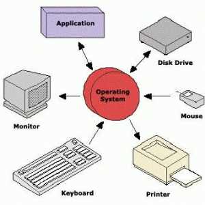 Системните програми са ... Класове и видове системни програми. Как да изтрия системна програма?