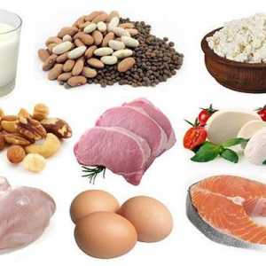 Колко протеин се абсорбира за всяко хранене? Протеин и въглехидрати в храната