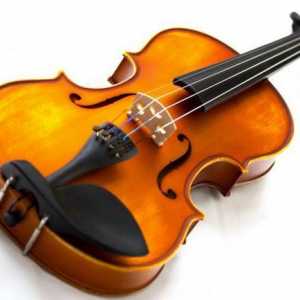 Колко струни има цигулка и как работи инструментът?