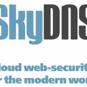 SkyDNS: Как да деактивираме? Филтър за интернет