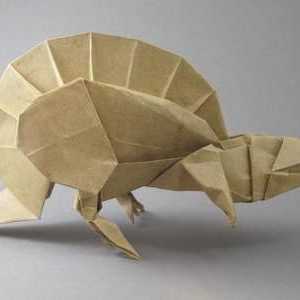 Комплекс оригами: принципи, материали, ползи