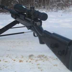 Снайперистка пушка Lobaeva: характеристики, ревюта, цена, снимка