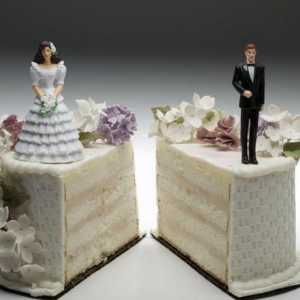 Споразумение за споделяне на имуществото на съпрузите: извадка. Споразумение за разделяне на…