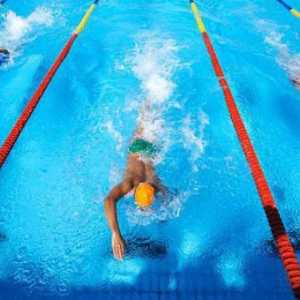 Плуване състезания: история, видове, ползи
