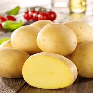 Картофени сортове: снимка, описание, характеристики, рецензии
