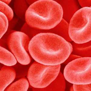 Състав и физикохимични свойства на кръвната плазма