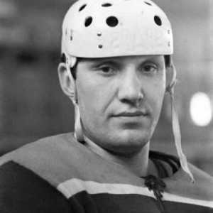 Съветският хокей на Александър Рагулин: биография, спортни постижения