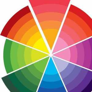 Съвети за начинаещи: основни и допълващи се цветове