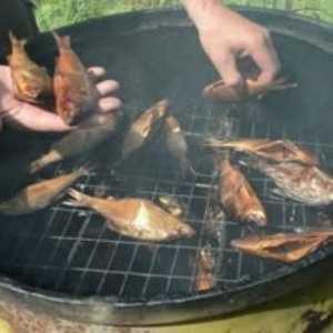Съвети за това как да се пуши риба в пушенето горещо