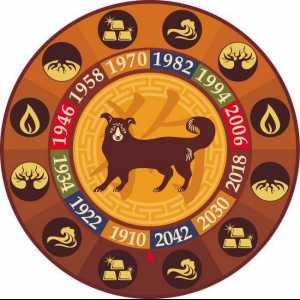 Съвместимост на змии и кучета в китайския хороскоп