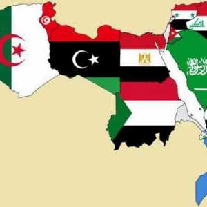 Съвременният арабски свят. История на арабския свят