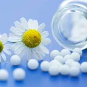 Списък на хомеопатичните лекарства и тяхното използване