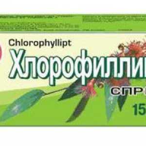 Спрей "Хлорофилиптп" - ефективен инструмент за лечение на гърлото