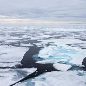 Средна дълбочина на Арктическия океан, дънен релеф и климат