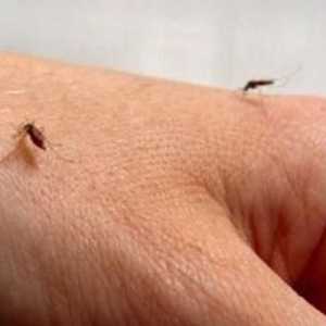 Отстраняване на комари за бебета. Преглед на козметичните средства за комари за деца под една година