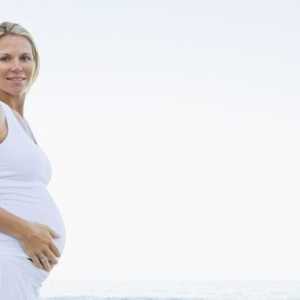 Времето на втория скрининг по време на бременност. Изчерпателно изследване на бременни жени